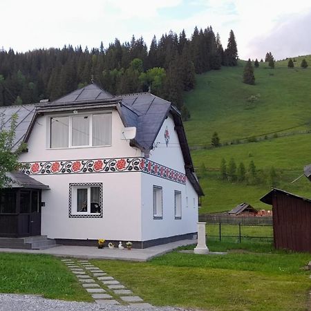 Casa Dumitru Si Elena Ciocanesti Bucovina Exteriör bild