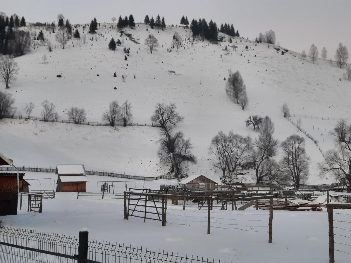 Casa Dumitru Si Elena Ciocanesti Bucovina Exteriör bild