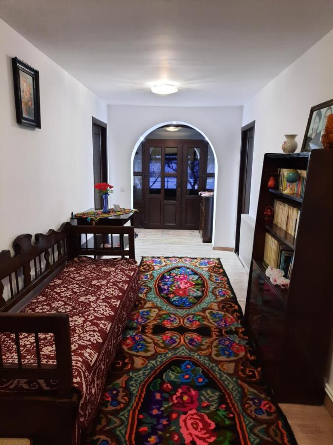 Casa Dumitru Si Elena Ciocanesti Bucovina Exteriör bild