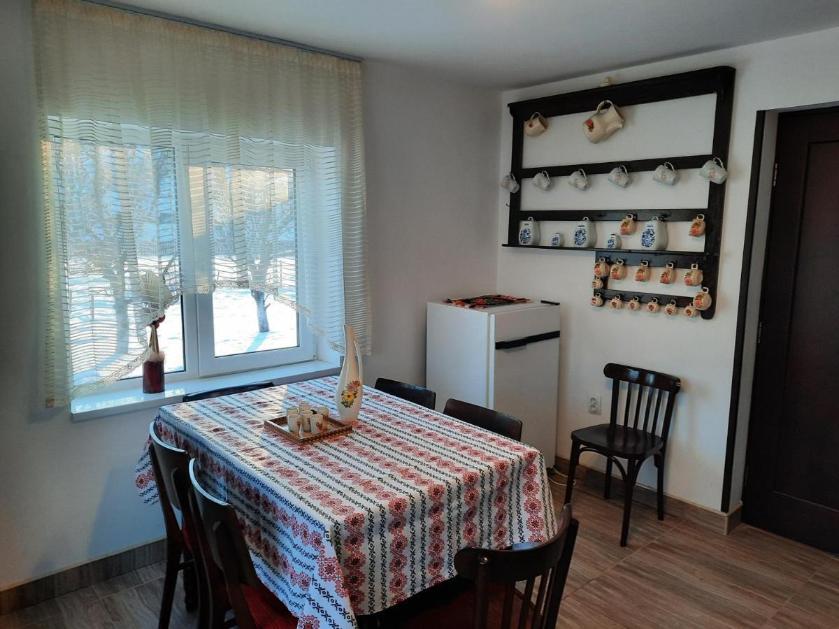 Casa Dumitru Si Elena Ciocanesti Bucovina Exteriör bild