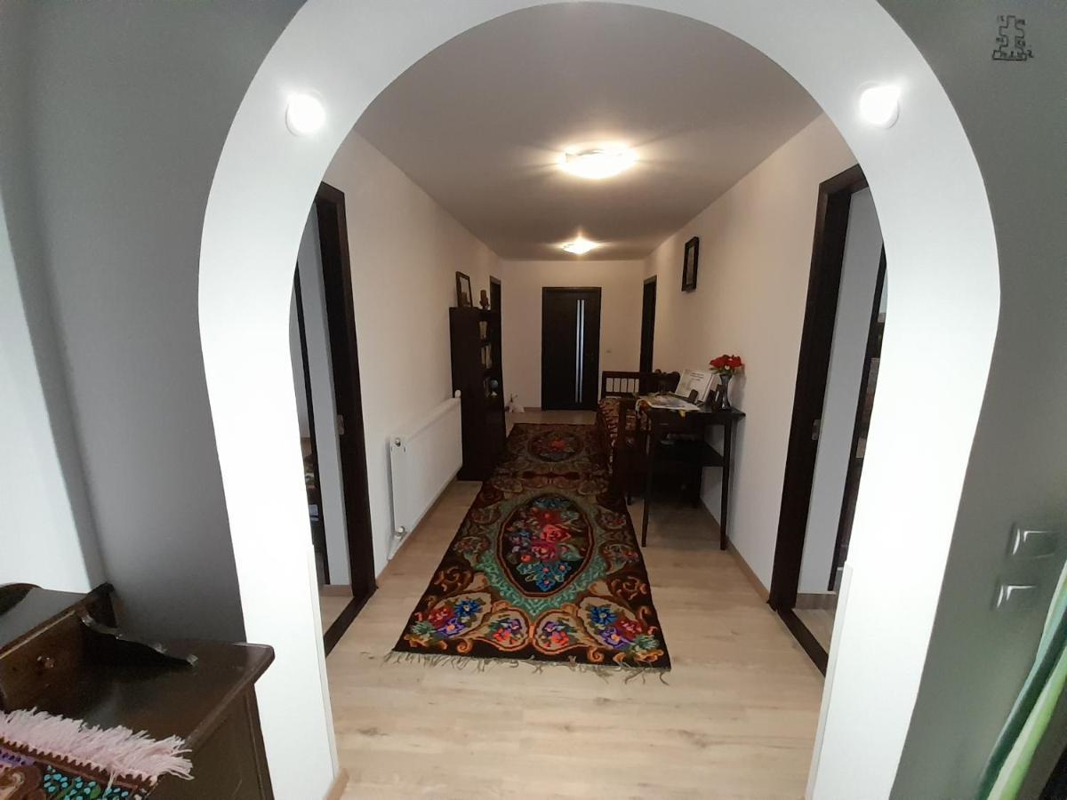 Casa Dumitru Si Elena Ciocanesti Bucovina Exteriör bild