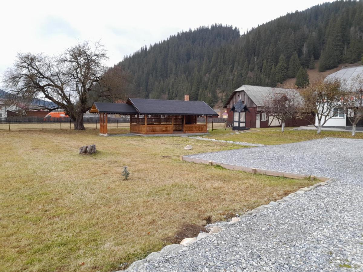 Casa Dumitru Si Elena Ciocanesti Bucovina Exteriör bild