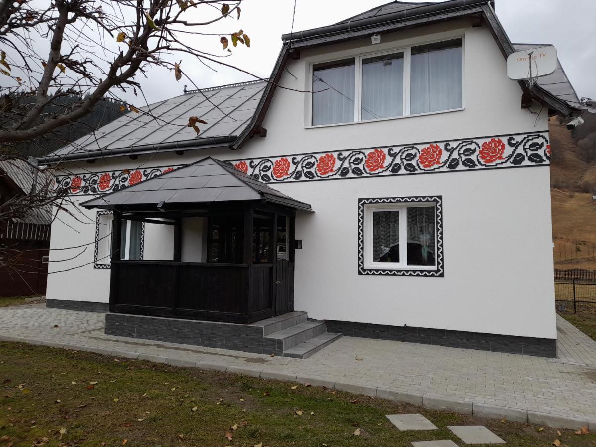 Casa Dumitru Si Elena Ciocanesti Bucovina Exteriör bild