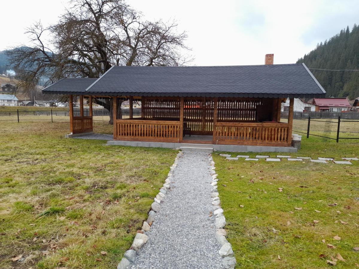 Casa Dumitru Si Elena Ciocanesti Bucovina Exteriör bild