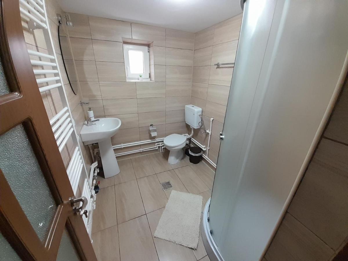 Casa Dumitru Si Elena Ciocanesti Bucovina Exteriör bild