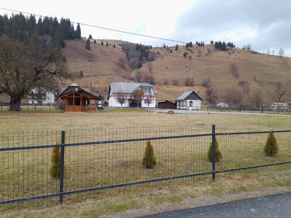 Casa Dumitru Si Elena Ciocanesti Bucovina Exteriör bild