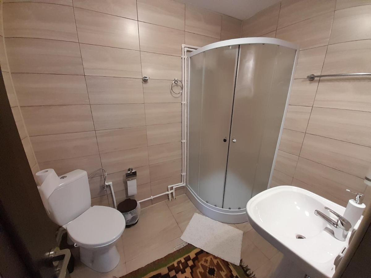 Casa Dumitru Si Elena Ciocanesti Bucovina Exteriör bild