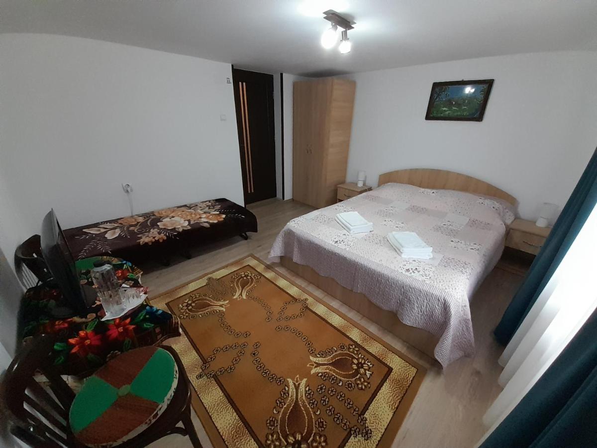 Casa Dumitru Si Elena Ciocanesti Bucovina Exteriör bild