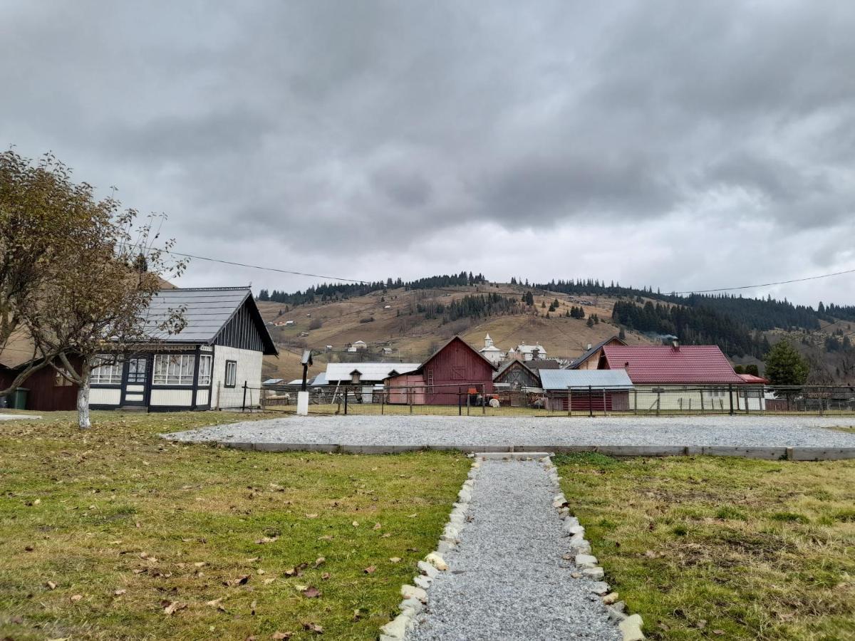 Casa Dumitru Si Elena Ciocanesti Bucovina Exteriör bild
