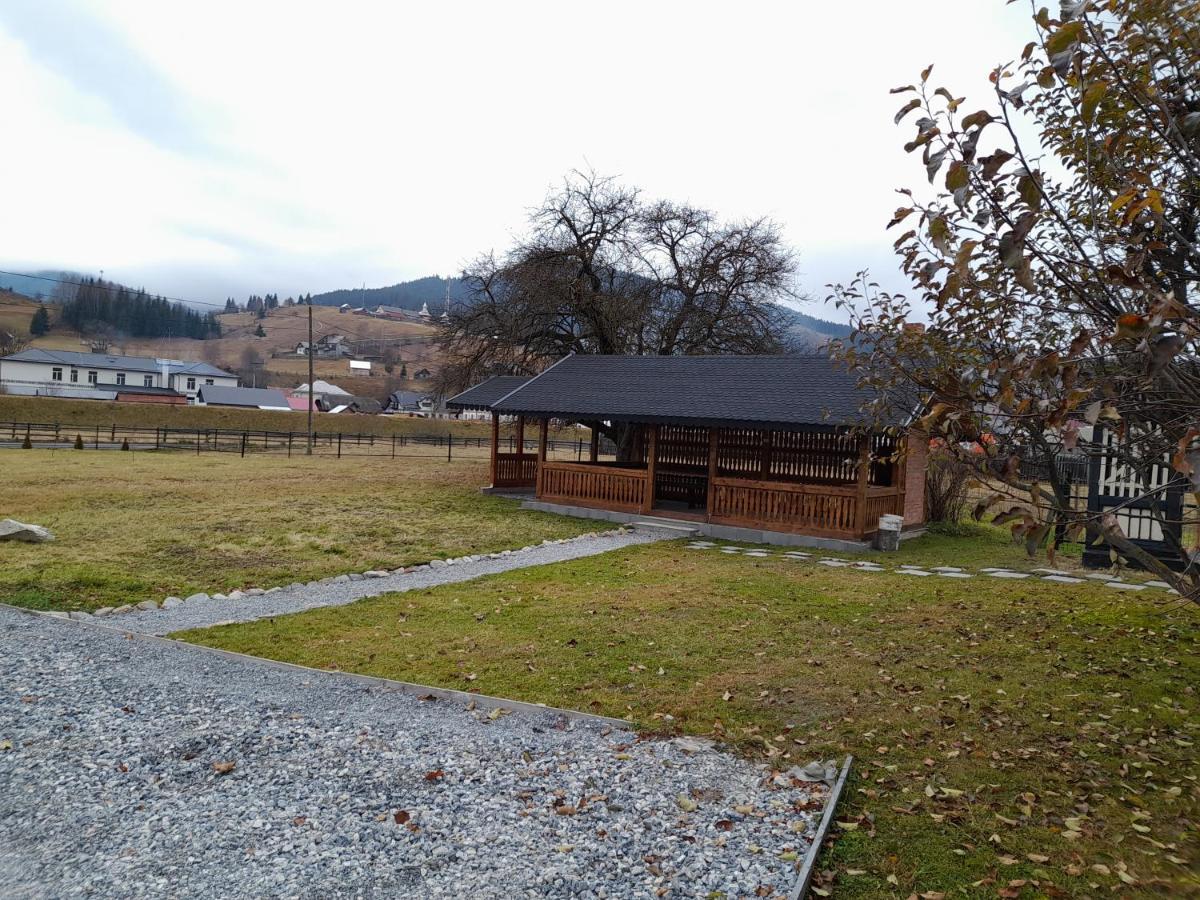 Casa Dumitru Si Elena Ciocanesti Bucovina Exteriör bild