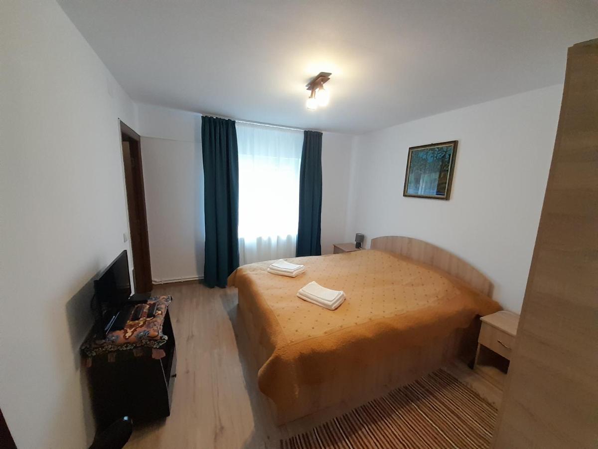 Casa Dumitru Si Elena Ciocanesti Bucovina Exteriör bild