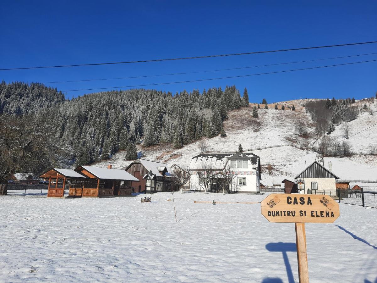 Casa Dumitru Si Elena Ciocanesti Bucovina Exteriör bild