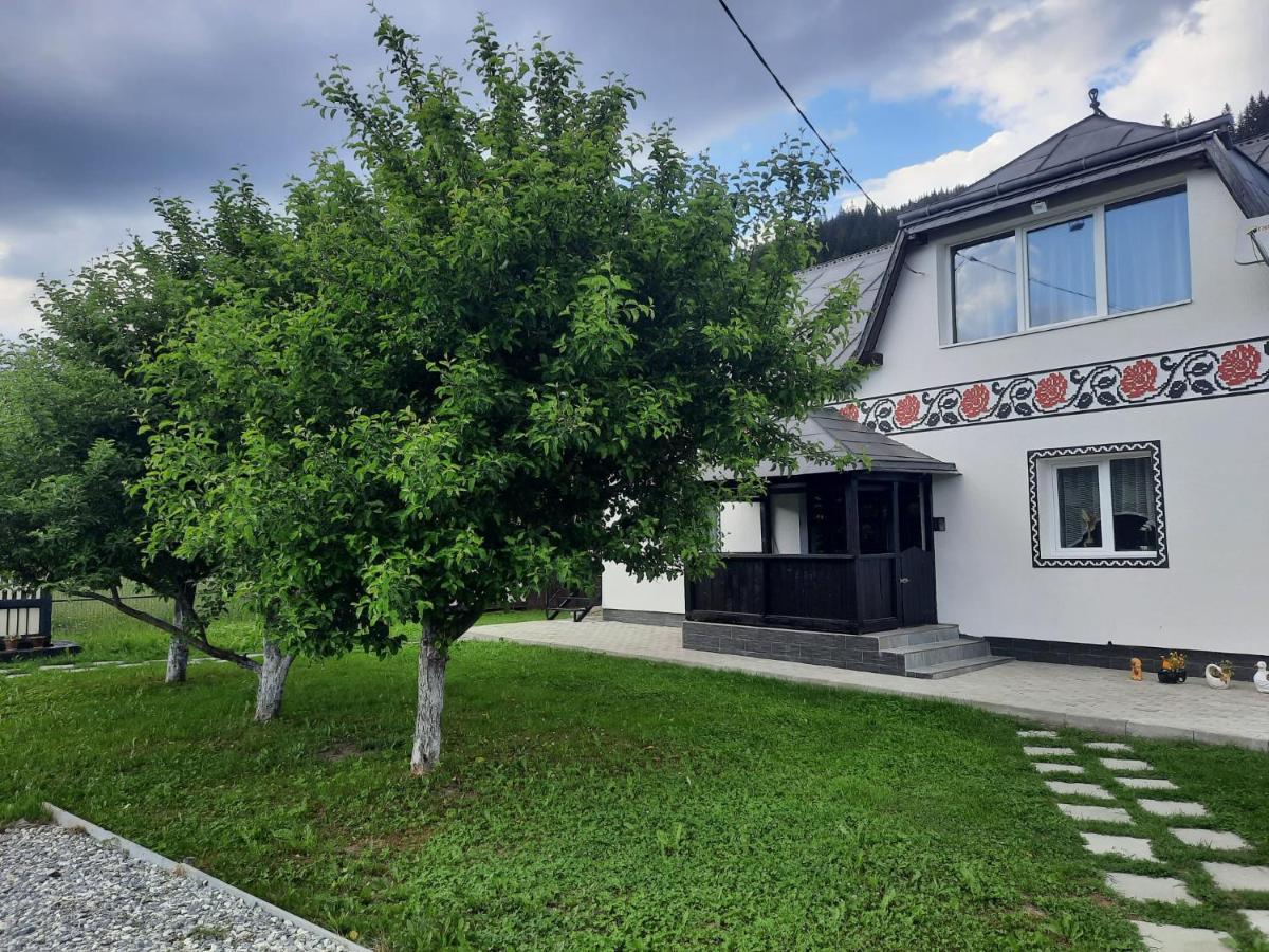 Casa Dumitru Si Elena Ciocanesti Bucovina Exteriör bild
