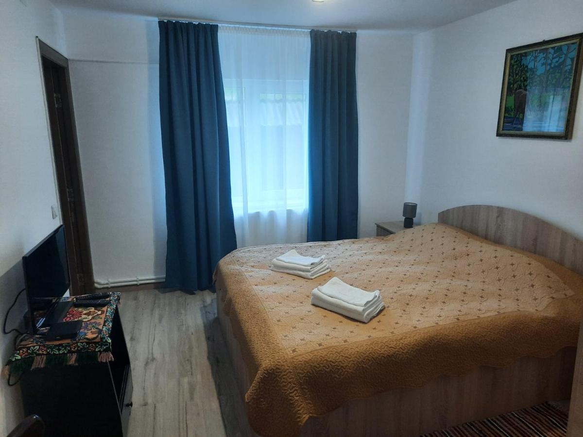 Casa Dumitru Si Elena Ciocanesti Bucovina Exteriör bild