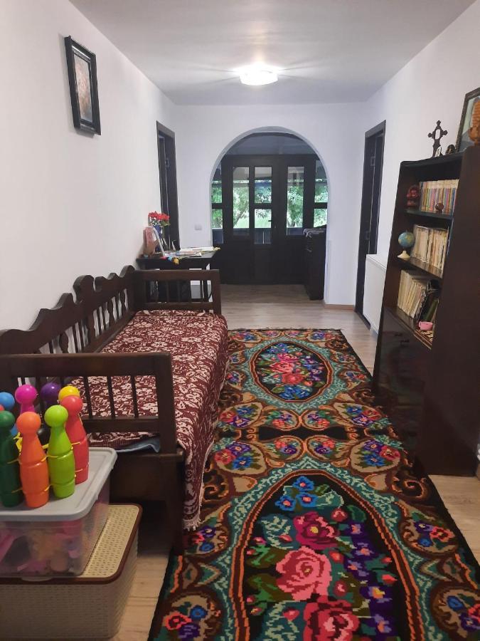 Casa Dumitru Si Elena Ciocanesti Bucovina Exteriör bild