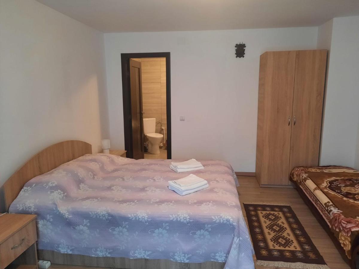 Casa Dumitru Si Elena Ciocanesti Bucovina Exteriör bild