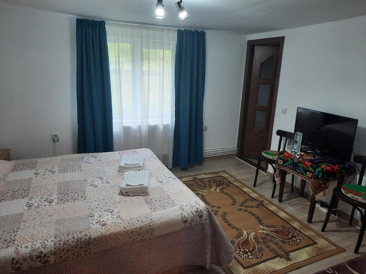 Casa Dumitru Si Elena Ciocanesti Bucovina Exteriör bild