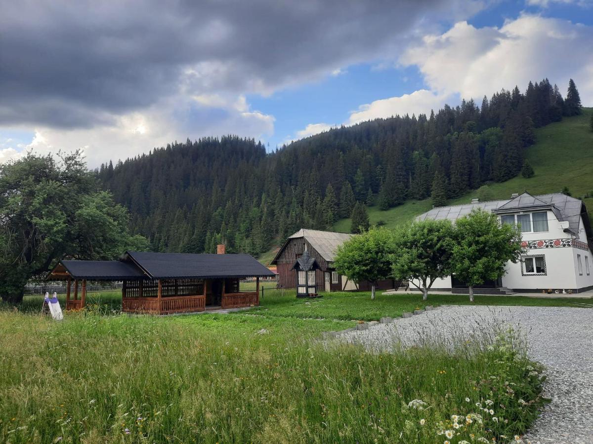 Casa Dumitru Si Elena Ciocanesti Bucovina Exteriör bild