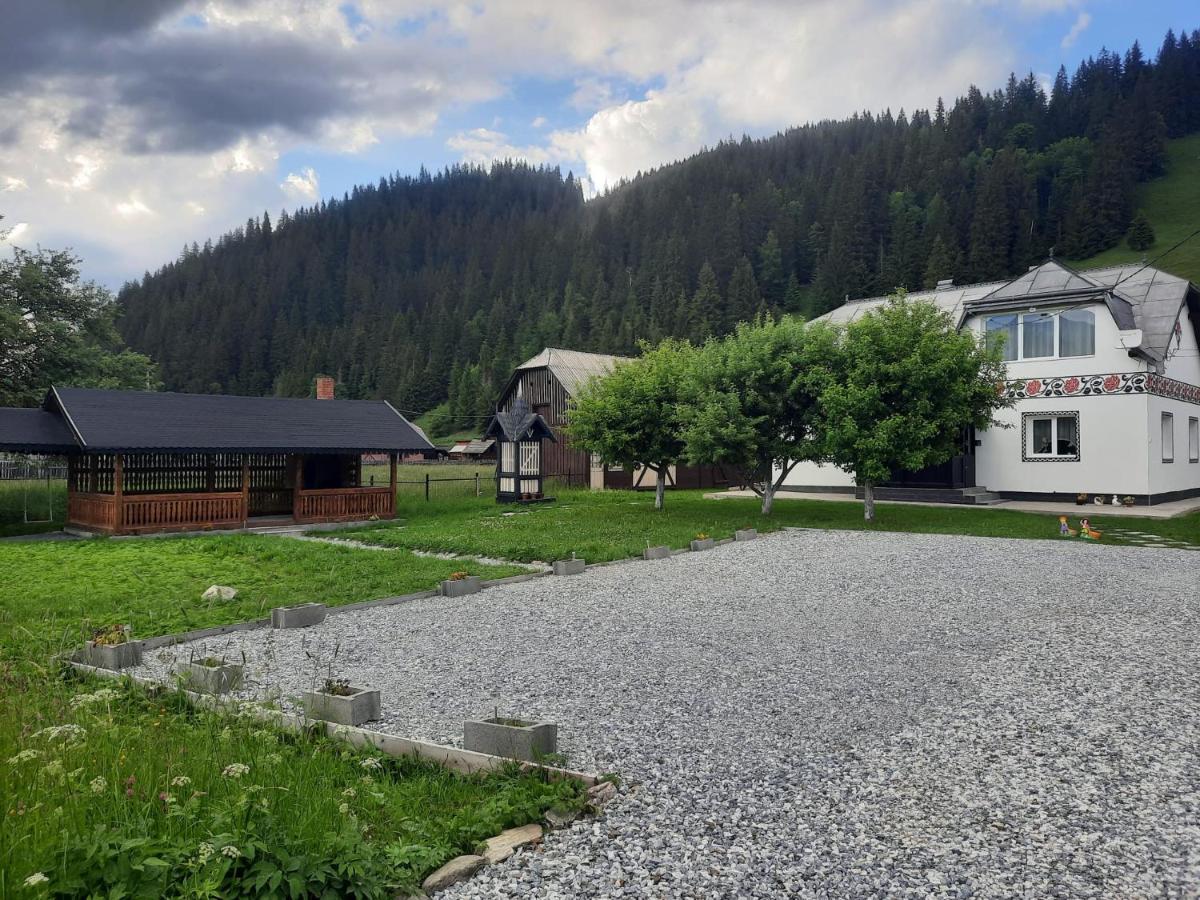 Casa Dumitru Si Elena Ciocanesti Bucovina Exteriör bild