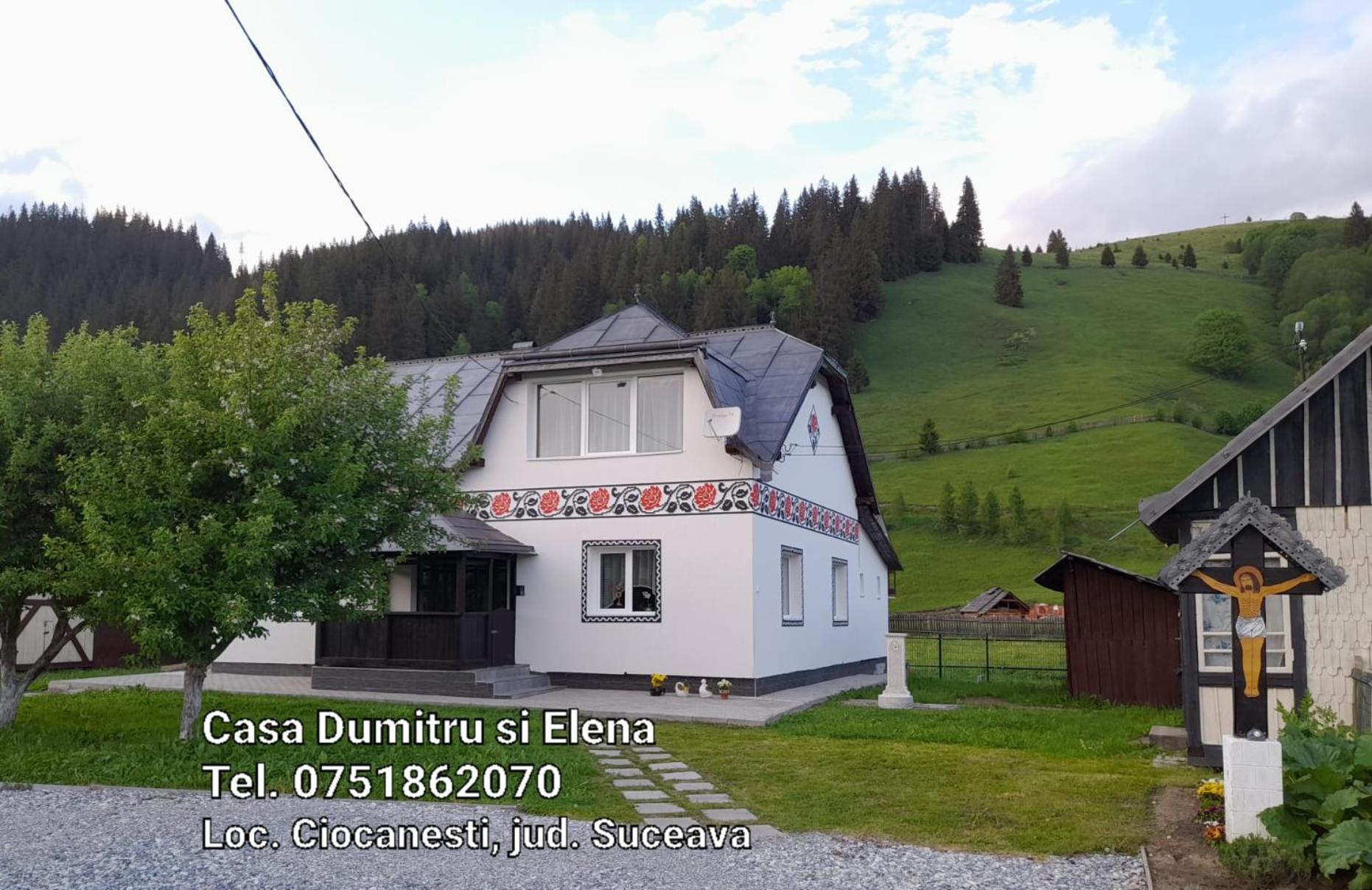 Casa Dumitru Si Elena Ciocanesti Bucovina Rum bild